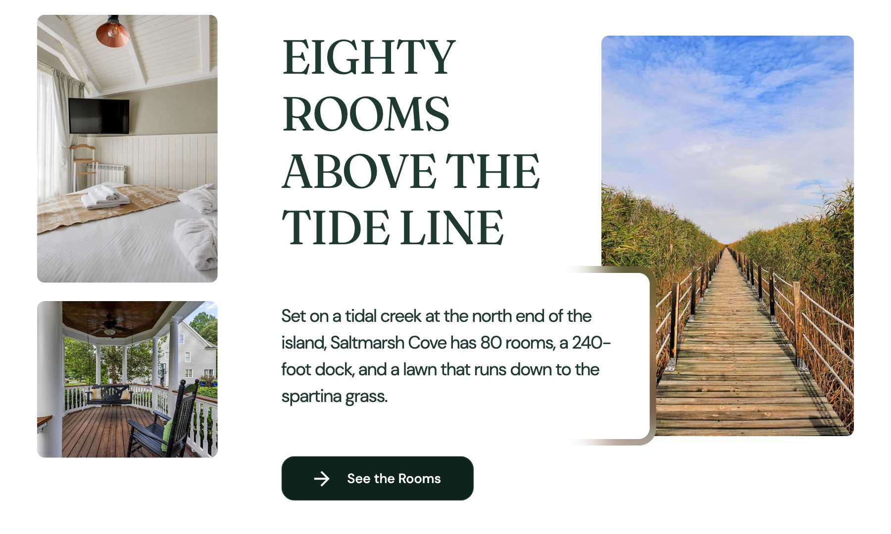 Saltmarsh Cove Resort concept, section