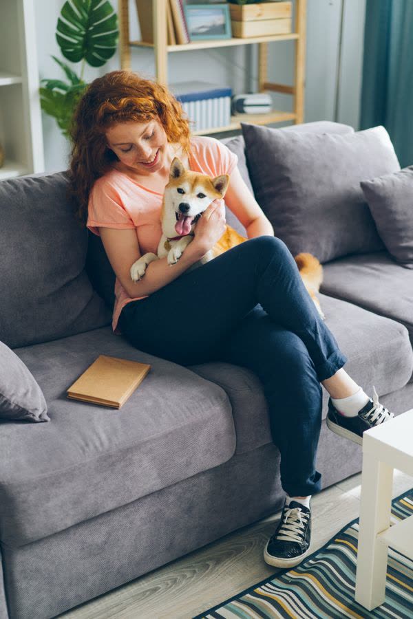 A guest hugging her dog on a grey sofa