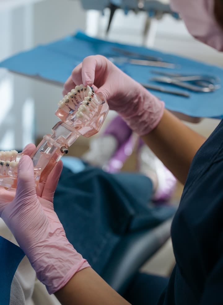 A hygienist holding a clear teeth model