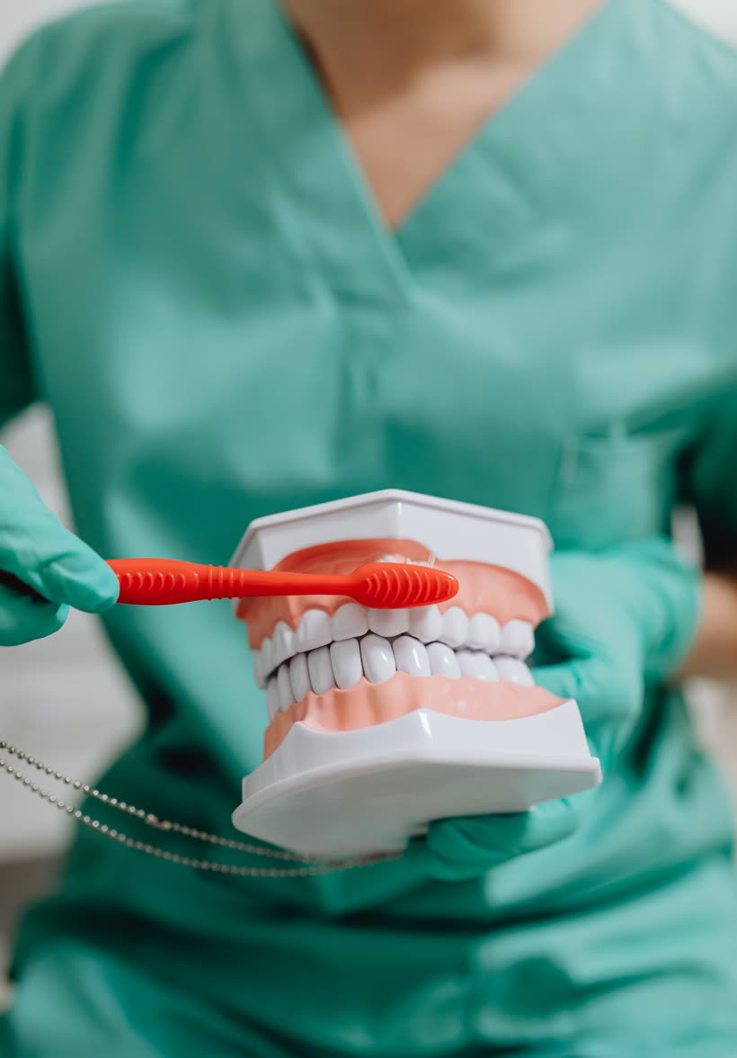 A hygienist showing brushing technique on a model