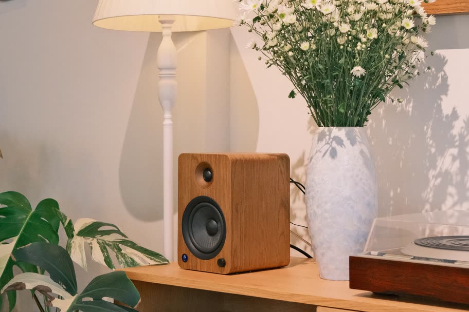 A small wooden speaker beside a vase of white flowers and a floor lamp