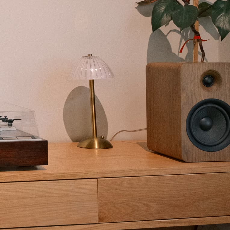 A wooden speaker next to a small lamp and a plant on a shelf