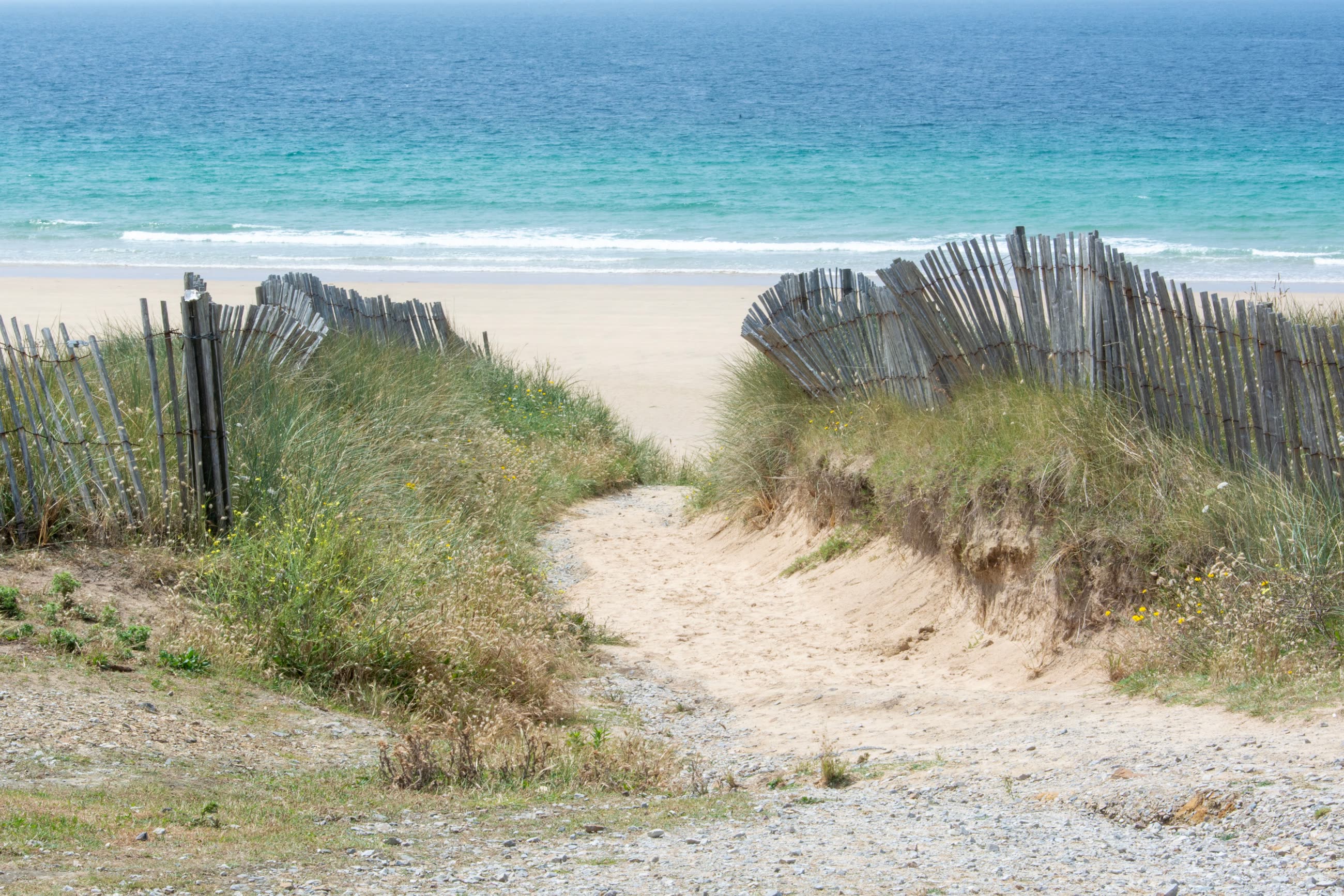Sandy path through a dune fence to the sea