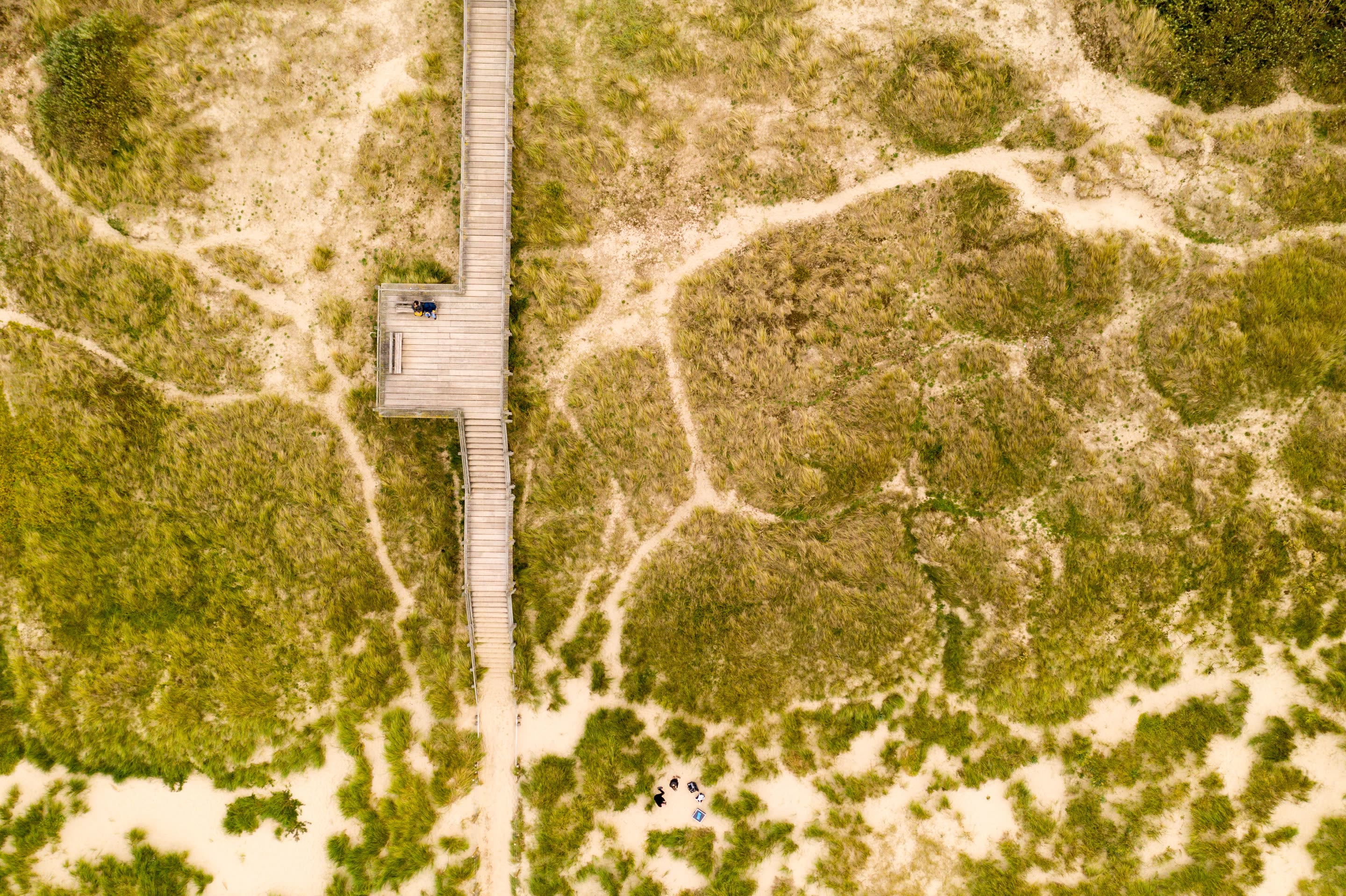 Aerial view of a boardwalk crossing green dunes