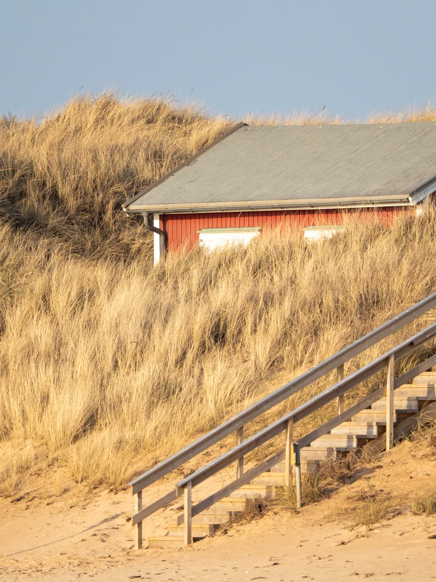 Wooden stairs climbing a grassy dune to a small cabin