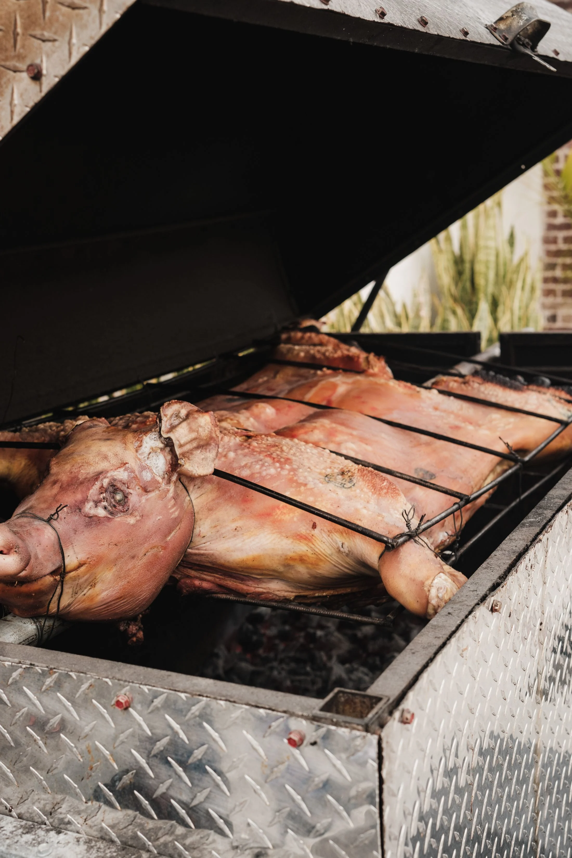 A whole smoked hog dressed for a catering table