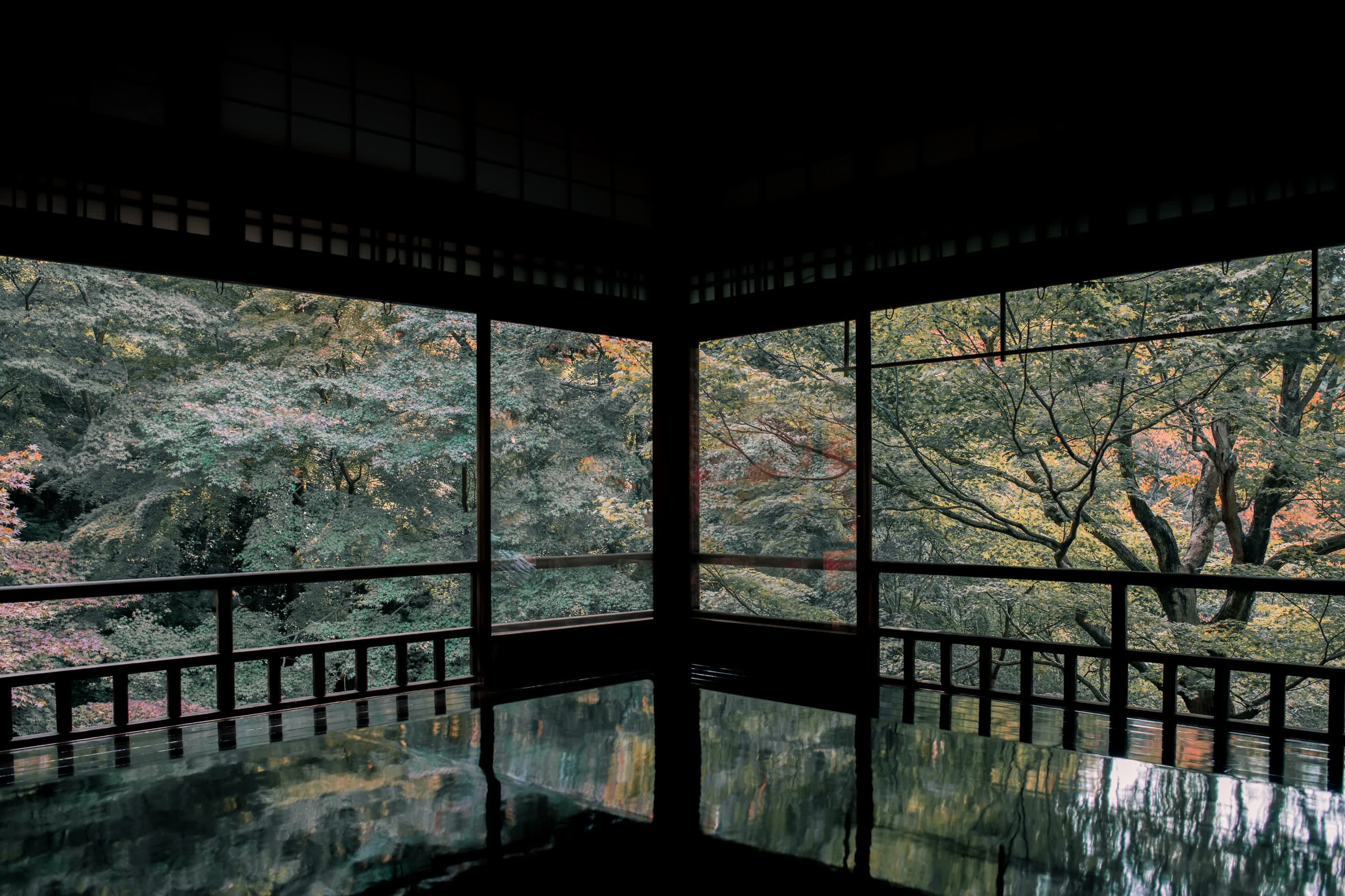 紅葉した庭に面したガラス戸