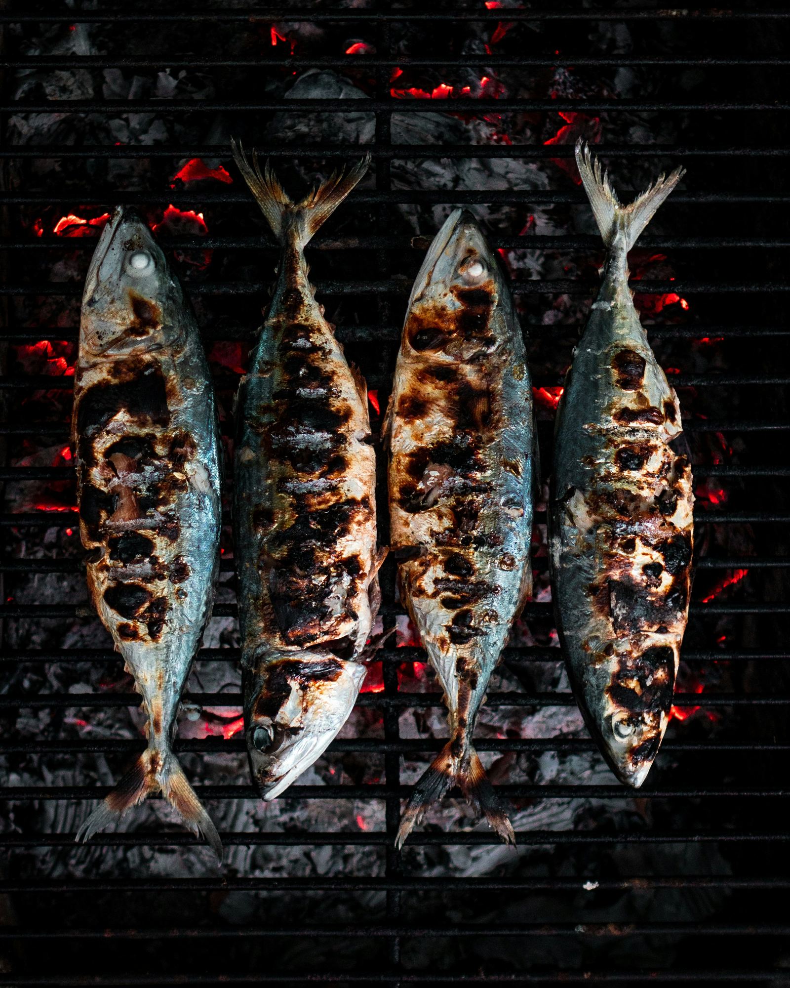 炭床の上に四尾ならべて焼かれている魚