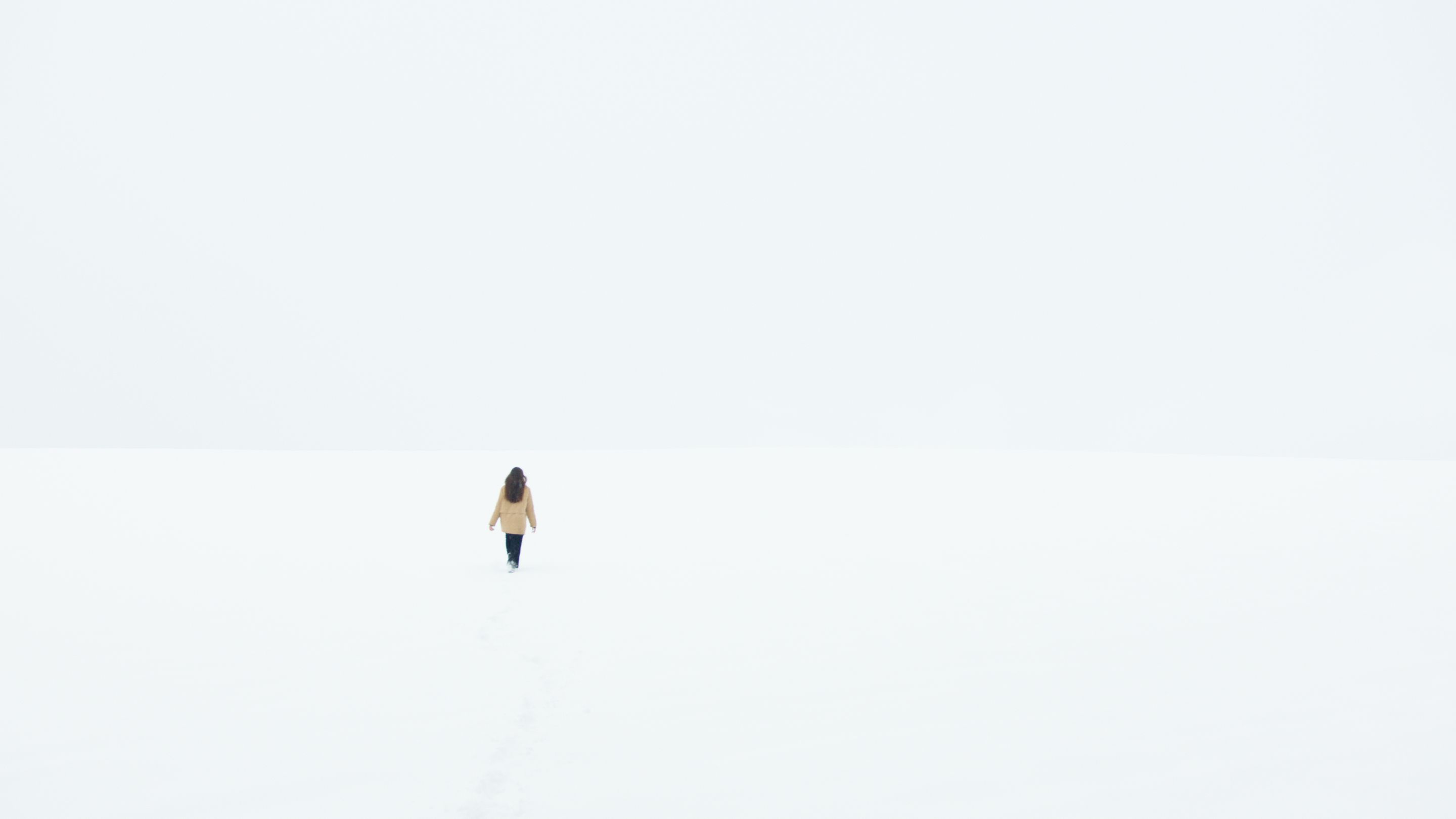 広い雪原をひとりで歩く人