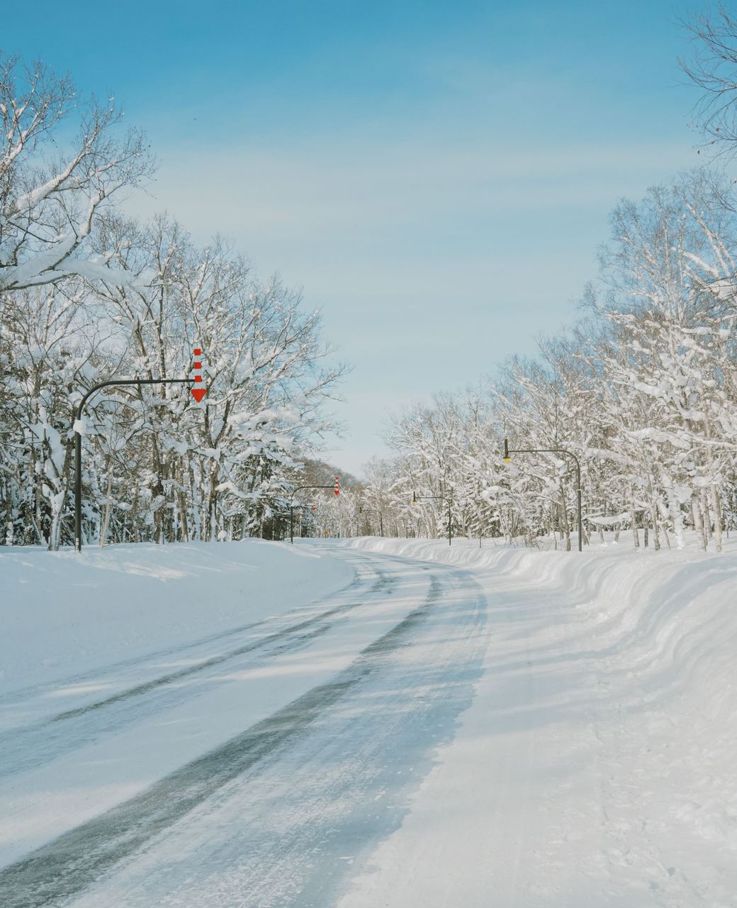 雪をかぶった木々にはさまれた冬の道路