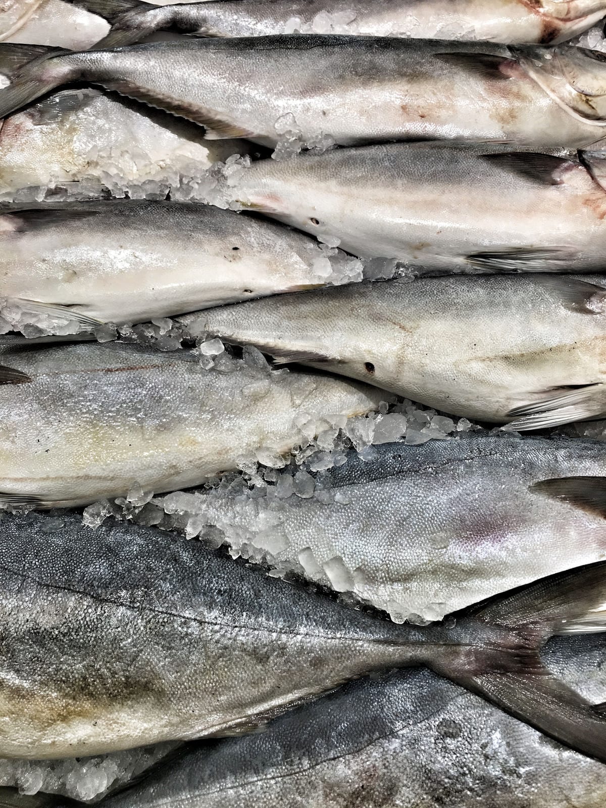 早朝の魚市場に並んだ魚