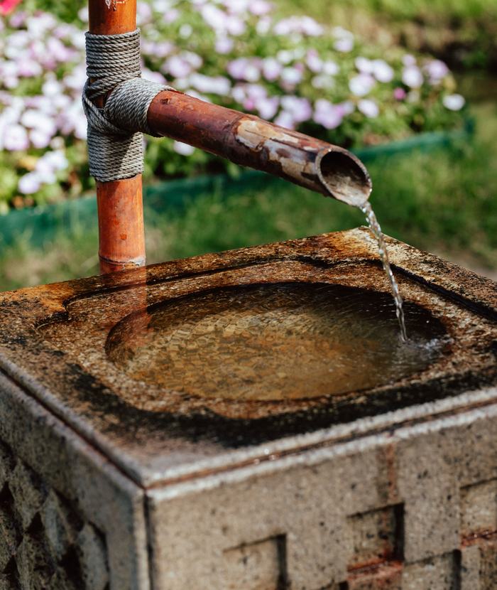 竹の樋から石の手水鉢に湯が落ちている。