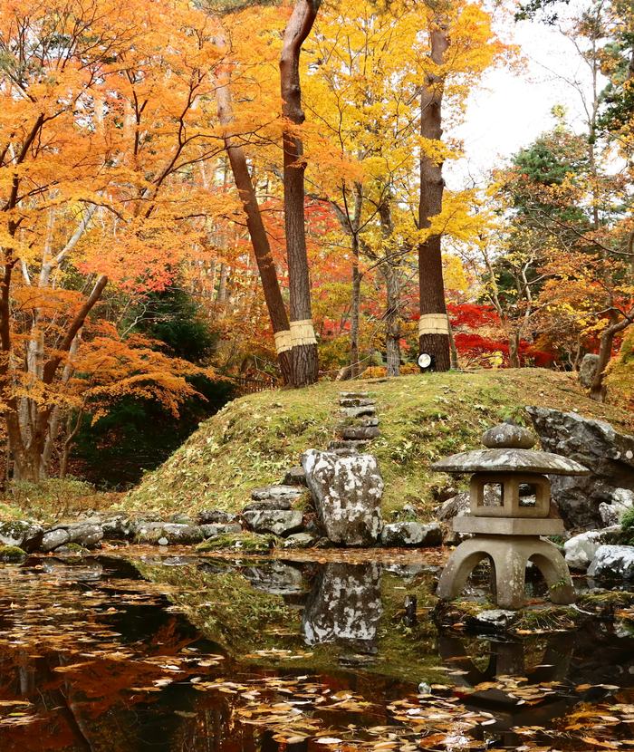 紅葉した庭と、落ち葉の浮かぶ池。