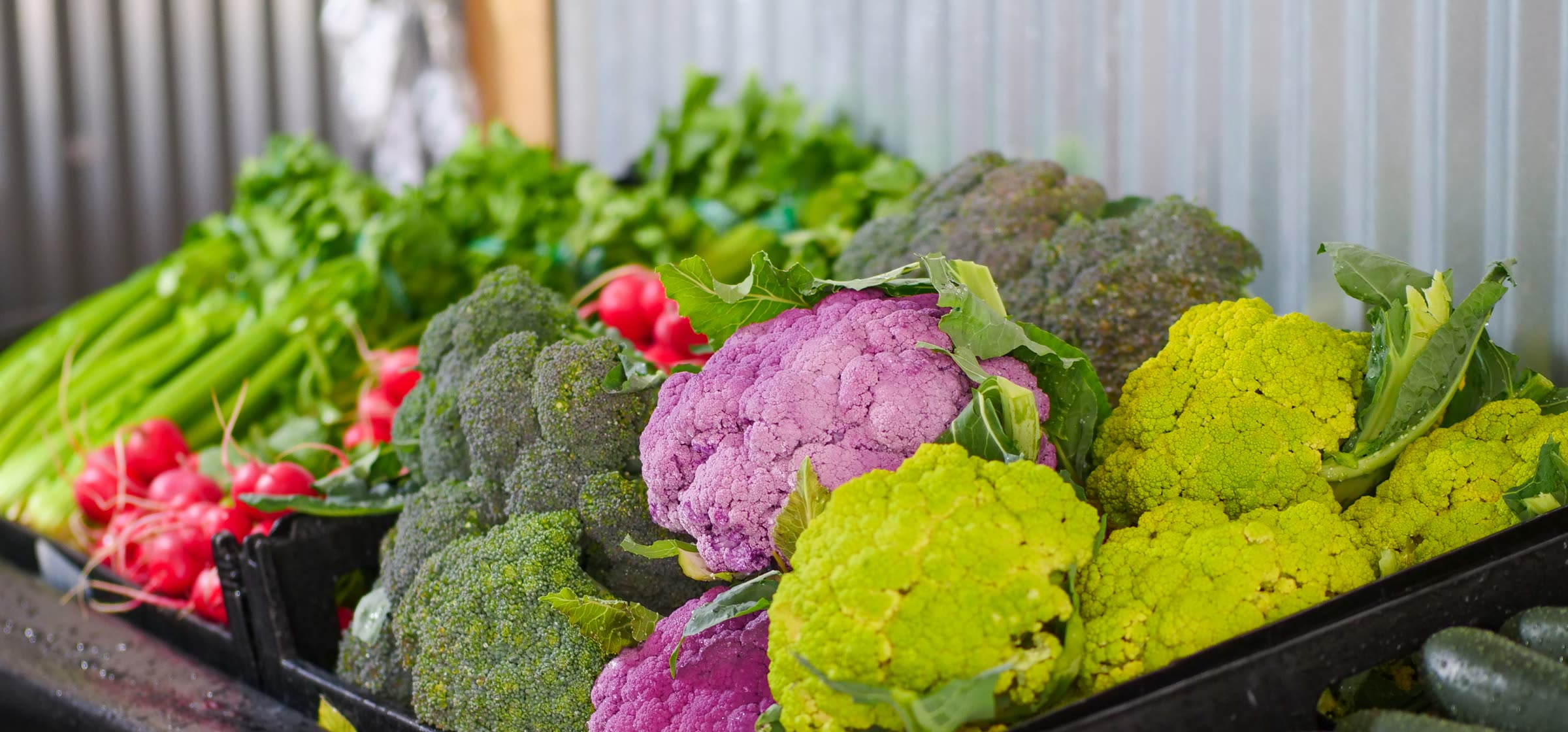 Crates of cauliflower, broccoli, radishes and cucumbers ready for the Saturday farm box