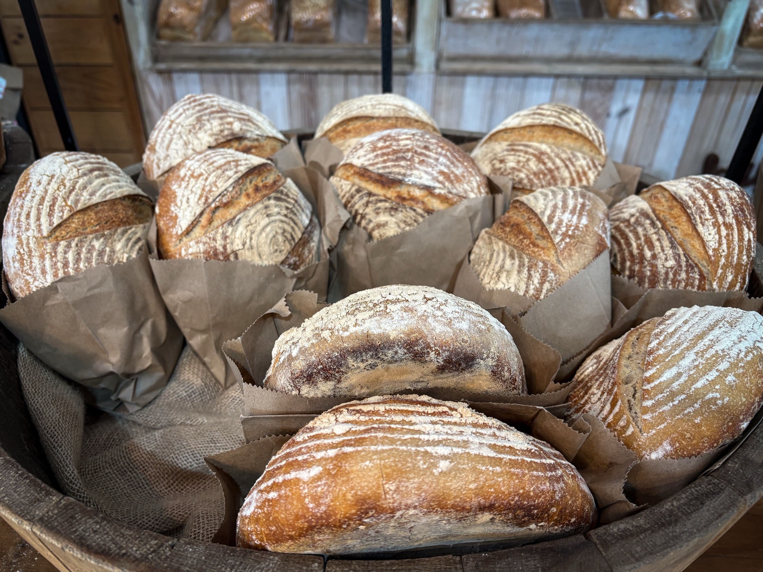 Scored country loaves wrapped in paper in a wooden bin