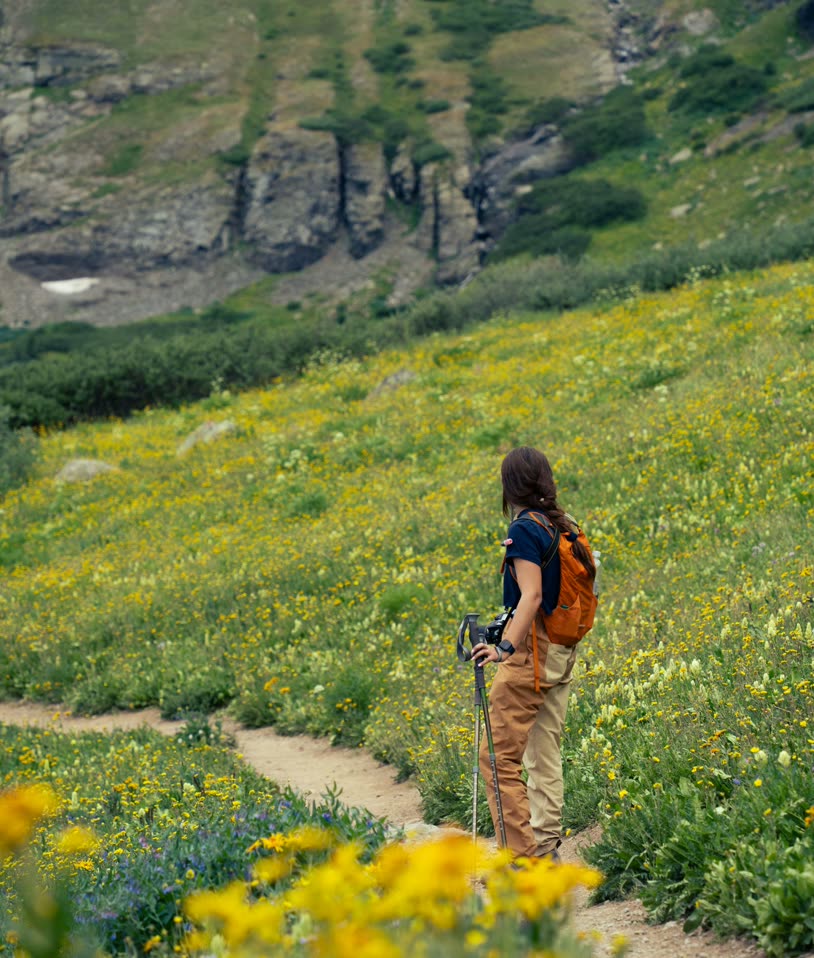 Hiker with poles on a trail through yellow alpine wildflowers