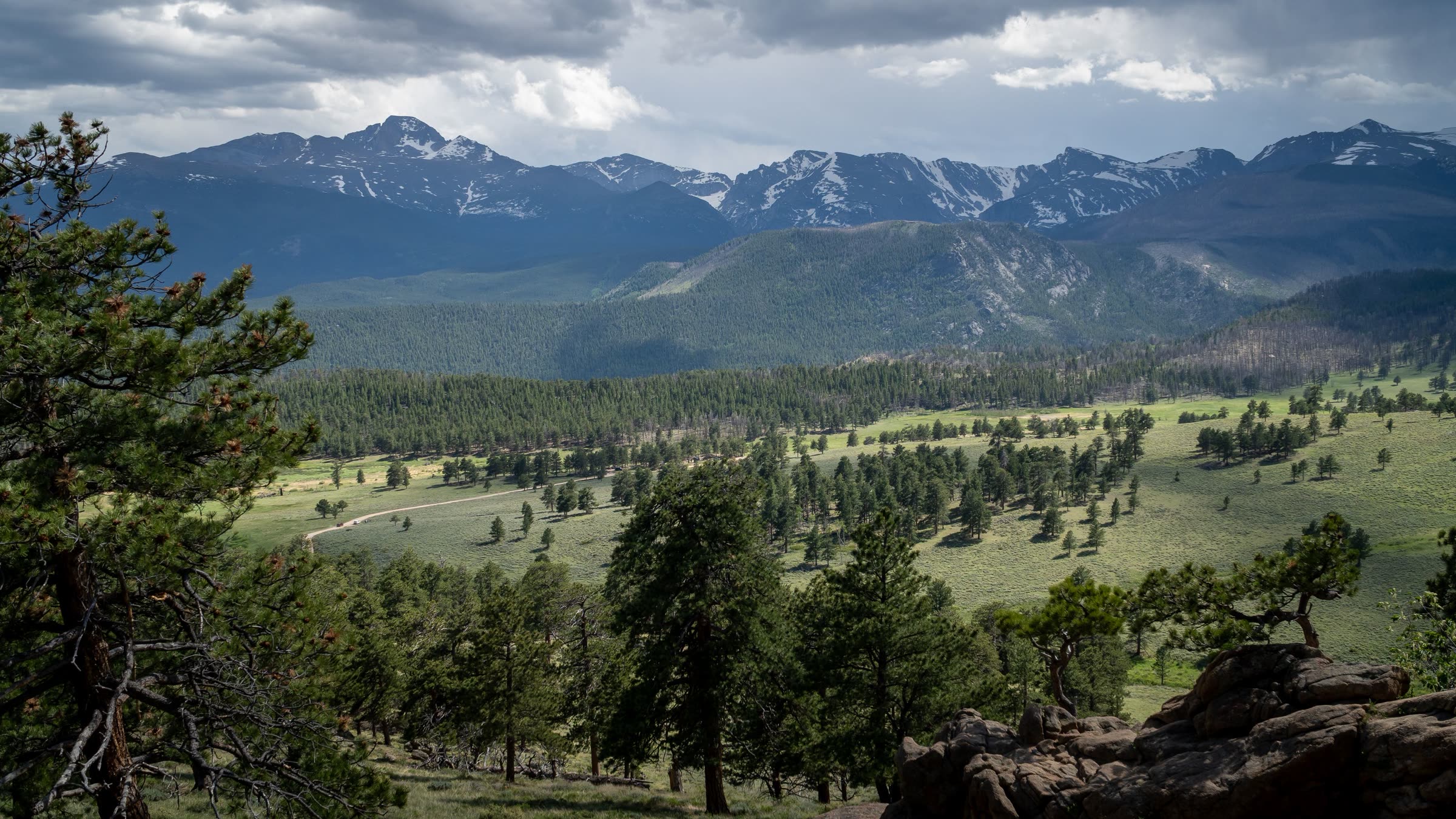 Open valley of ponderosa pine below a line of snowy peaks