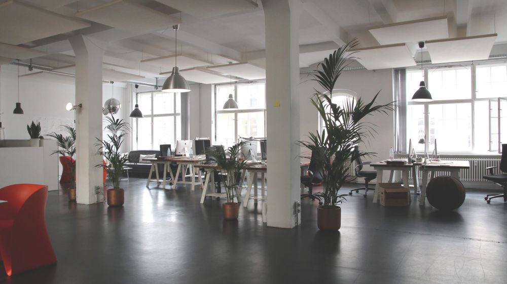 An open office floor with desks and plants