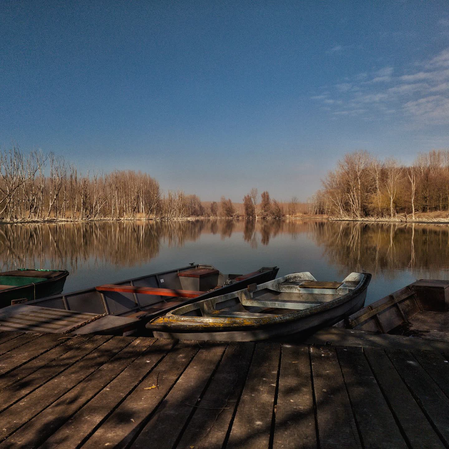 Rowboats tied along a wooden dock on a calm lake