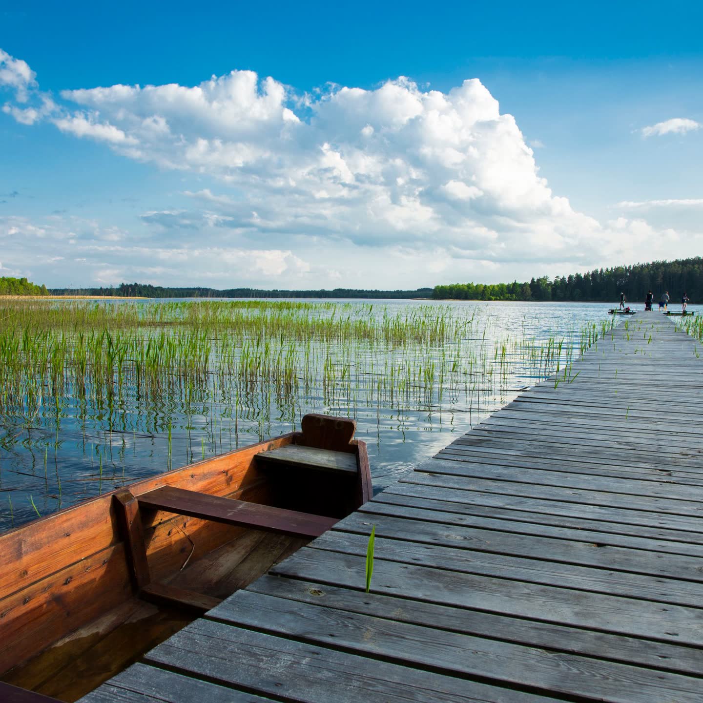 A wooden rowboat beside a boardwalk through lake reeds