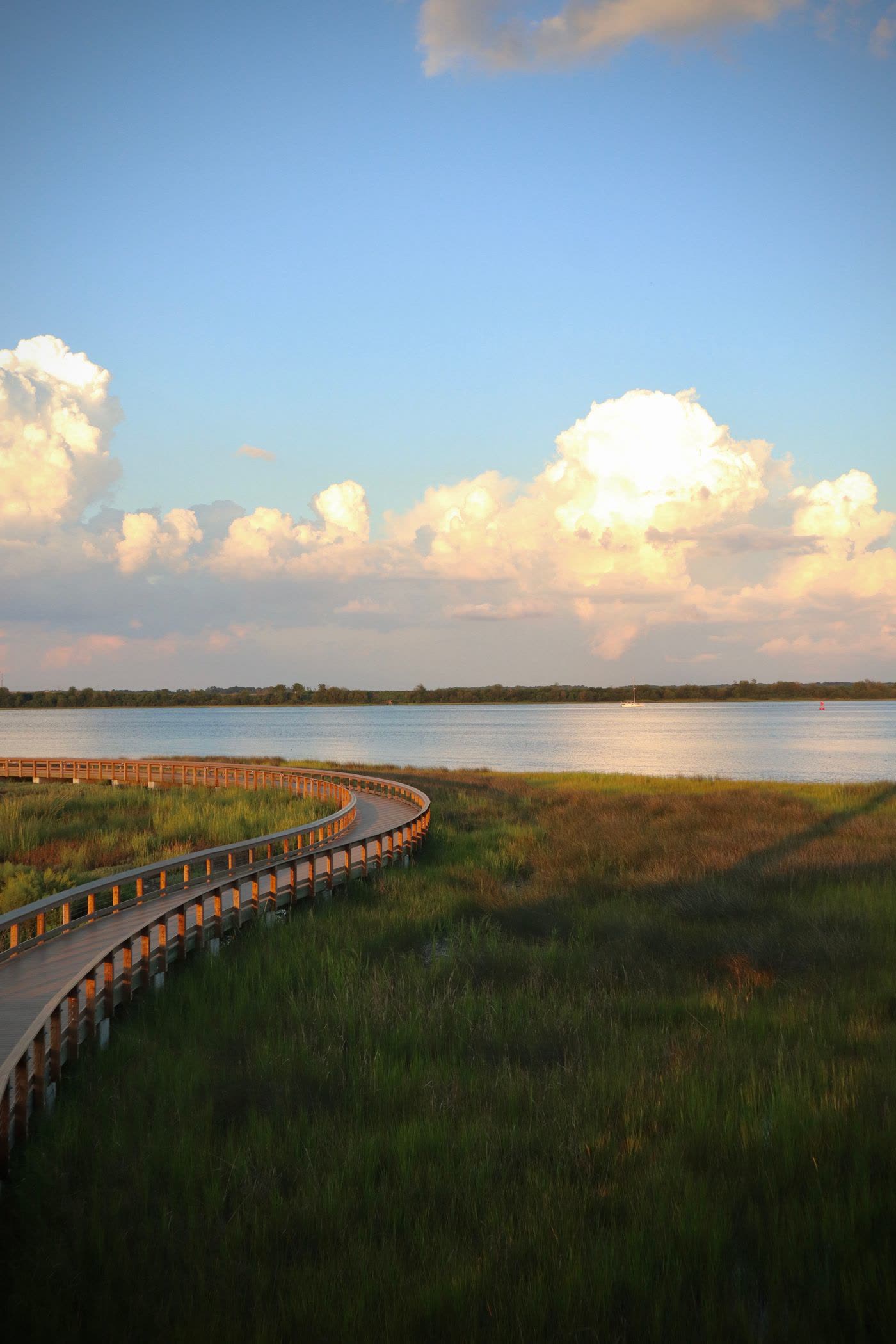 Curving boardwalk across a green marsh at evening